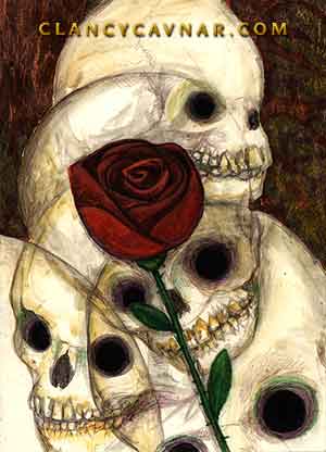 Baby Skulls