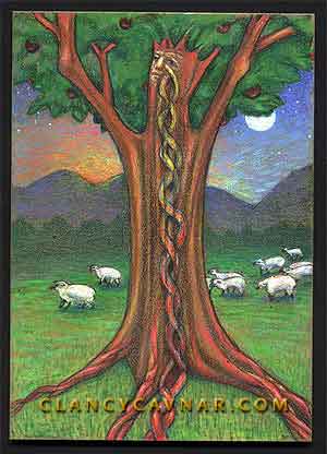 Umbilical Tree