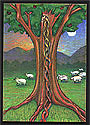 Umbilical Tree